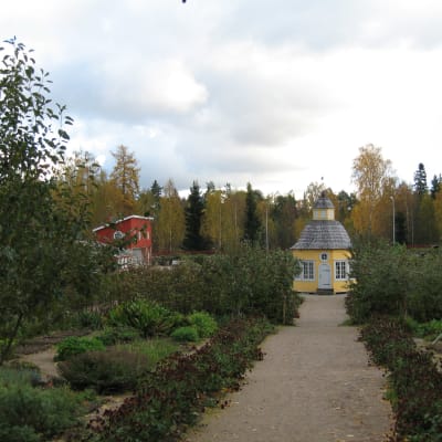 Aspegrens trädgård sett från prostgården