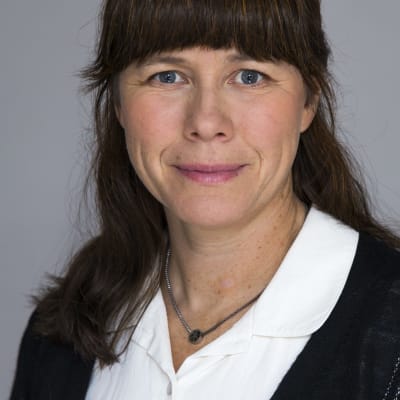 Åsa Romson