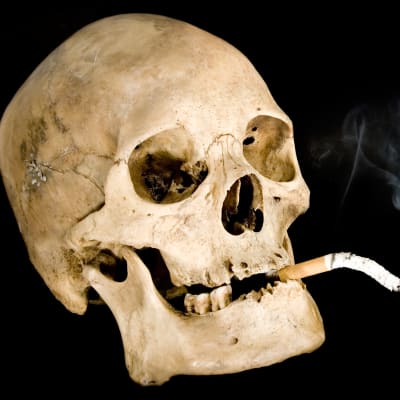 En skalle med en tobak i munnen.