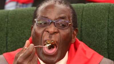 President Rober Mugabe äter en bit födelsedagstårta på sin 85-årsdag 28 februari 2009. Tårtan vägde totalt 80 kg. 