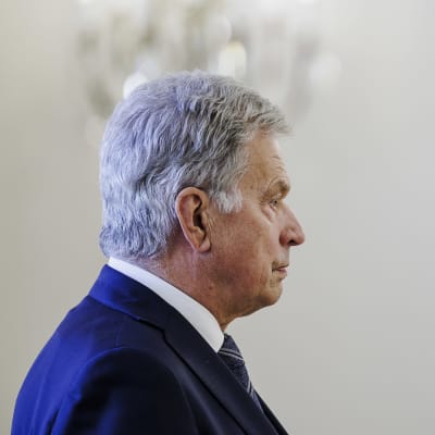 Sauli Niinistö i profil.