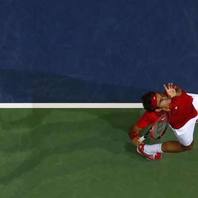 roger federer davis cup 2014