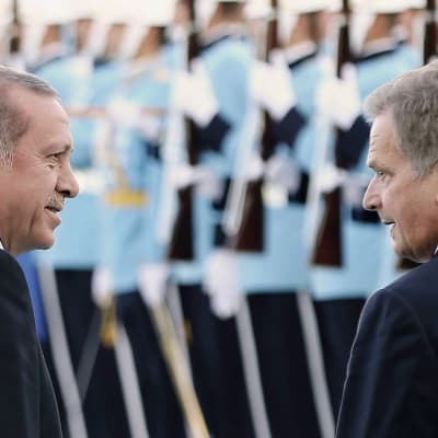 Recep Tayyip Erdogan och Sauli Niinistö tittar på varandra. Bilden är tagen bakifrån.