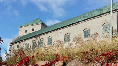 Åbo slott, med en mur med röda blad i förgrunden.