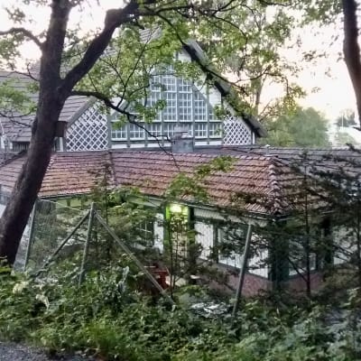 Turun Biologinen museo on puiden takana. Talon edessä on aita. 