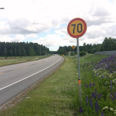 vägkant med blomster