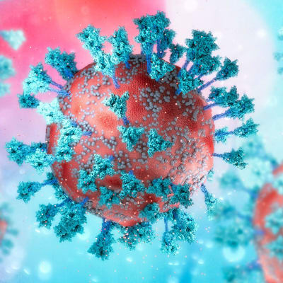 En 3d-illustration av coronavirusets omikronvariant.