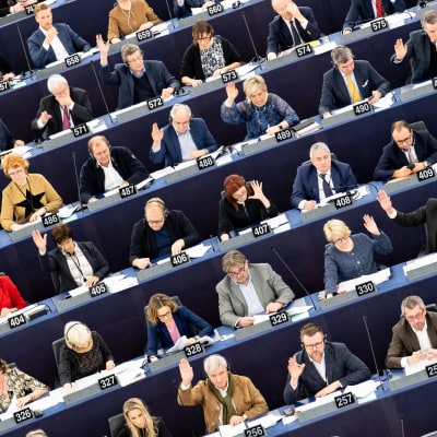Europaparlamentariker i parlamentet i Strasbourg den 13 februari 2019.