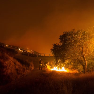 Bild av markbrand i Kalifornien, USA.