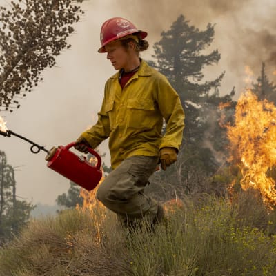 En brandman rör sig på ett fält i Kalifornien i USA och släcker bränder.