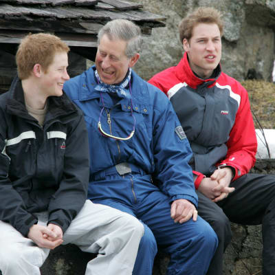Prinssi Harry, prinssi Charles ja prinssi William.