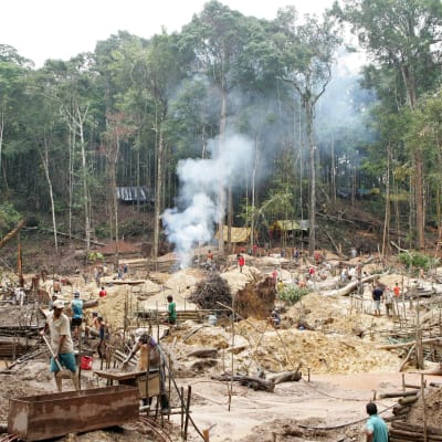 Guldgrävare och skogsskövling i Amazonas, Brasilien. 2007.