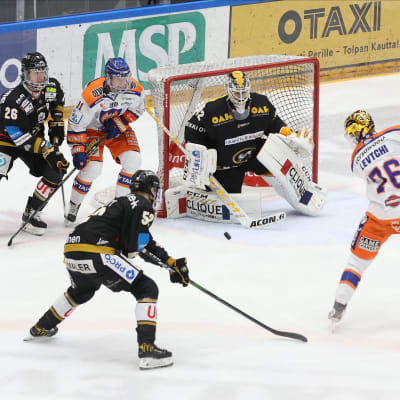 tappara kärpät