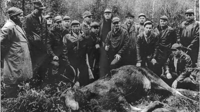 Gruppbild med Östersundom jaktförening från 1960-talet.