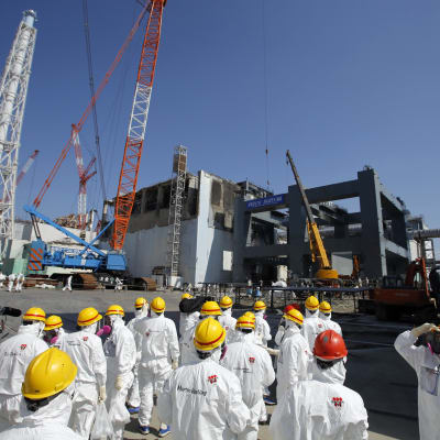 Kärnkraftverket i Fukushima.
