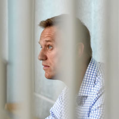 Aleksej Navalnyj fotograferad genom galler.