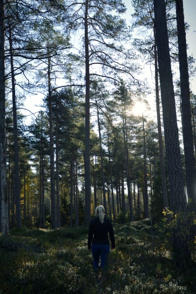 En kvinna går längs en stig i skogen. Solen lyser genom trädtopparna.
