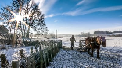 Frank tillsammans med hästen Solveig i ett vintrigt landskap.