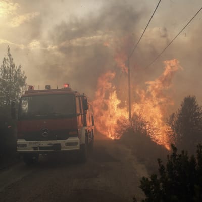 Flammor härjar invid en brandbil i Greklands huvudstad Aten.
