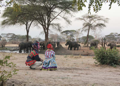 Markku Laakso och Annika Dahlsten i samedräkter ser på elefanter i Senyati i Botswana.