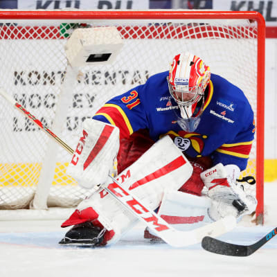 Riku Helenius, Jokerit