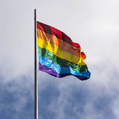 Pride lippu 