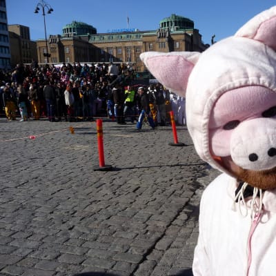 Pampasgrisen är Pampas nationaldags maskot.