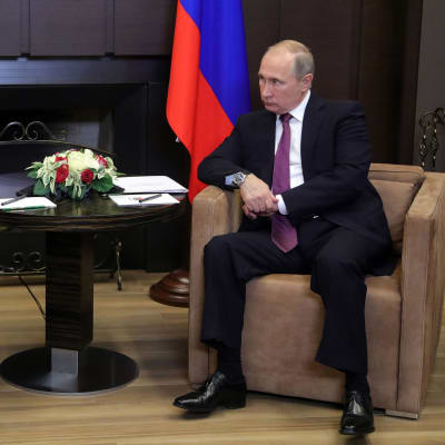 Rysslands president Vladimir Putin och Syriens president Al-Assad diskuterar Syrienkonflikten i Putins residens i Sotji.