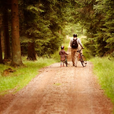 En vuxen och ett barn leder sina cyklar längs en väg i skogen.