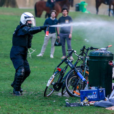 Polisen använder tårgas mot besökare på fejkfestival i Bryssel.