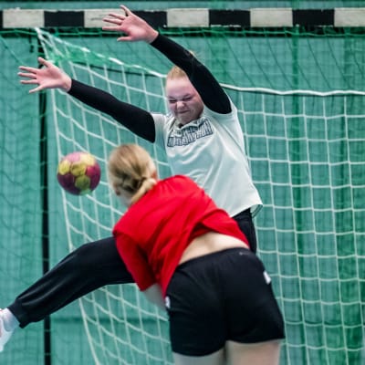 PIF Handbolls damerna