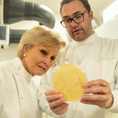 Toimitaja Angela Rippon selvittää, minkälainen katastrofi voi seurata, jos antibioottien teho loppuu?