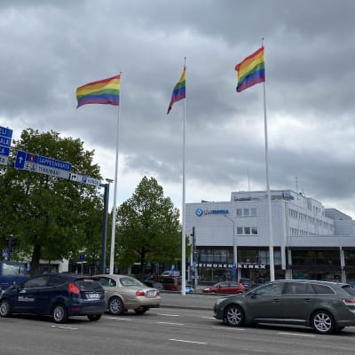 Sateenkaarilippuja tangoissa, taustalla harmaa taivas.