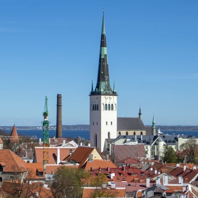 Vi över Tallinn med hamnen.