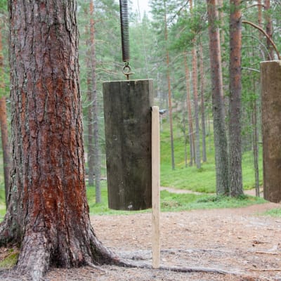 Paalutribula Suomussamen Soivassa metsässä.