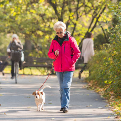 En äldre kvinna går i en park med en hund. I bakgrunden syns en person cykla. 
