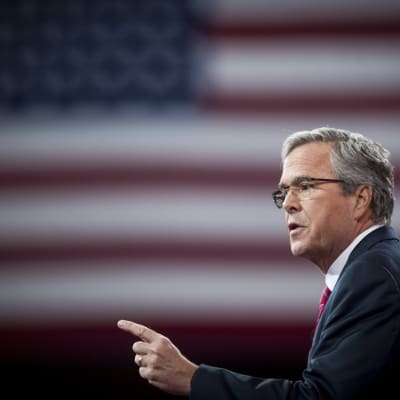 Jeb Bush