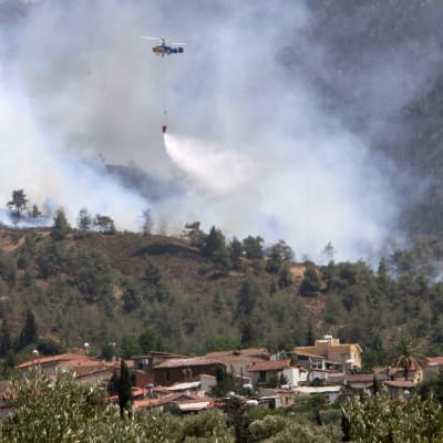 En helikopter fäller vatten över skogsbranden i byn Eyrixou, Cypern 20.6.2016