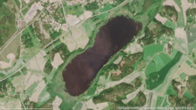 En satellitbild som visar Läppträsket i början av sommaren 2021. Sjön syns som en brun oval, omkring den grönska och ljusare åkerområden samt vägar och hus.