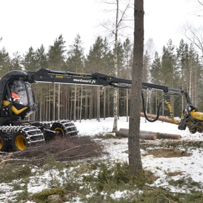En skogsmaskin i skogen