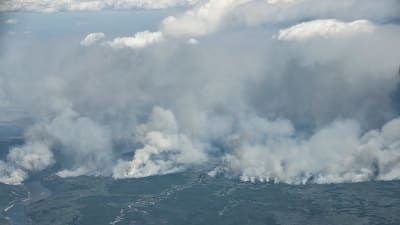 Bild tagen från ett evakueringsflyg visar omfattningen av skogsbranden i Alberta 8.5.2017