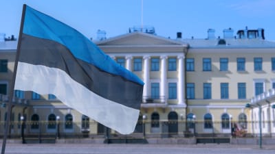 Estlands flagga framför presidentens slott i Helsingfors.