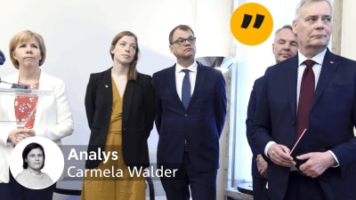 Carmela Walder analys. 
