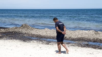Säkerhetsvakt på stranden vid hotellet i Sousse som utsattes för ett terroristangrepp 2015.