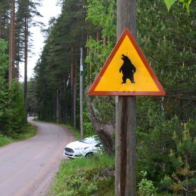 Varningsskylt för björn.