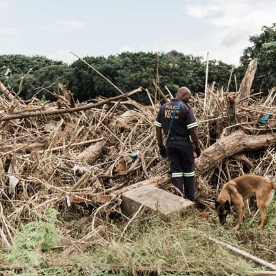 Räddningsteam söker efter försvunna människor som tros ha svepts iväg av vattenmassor i Bellair norr om Durban efter kraftiga regn och lerskred i Durban, Sydafrika.