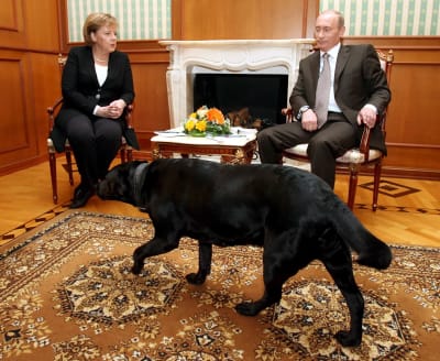Angela Merkel och Vladimir Putin sitter på utsmyckade stolar av trä. I förgrunden Putins svarta hund.