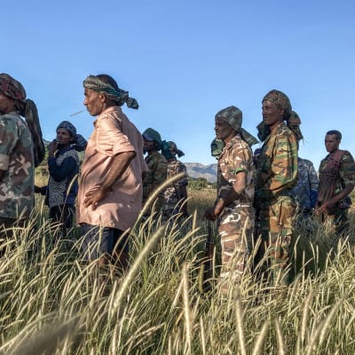 Amhariska milismän som strider på regeringens sida i Tigray, här fotograferade under träning den 10 november. 