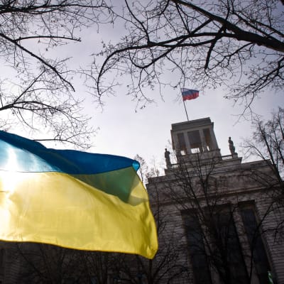 Ukrainan lippu kuvattuna Venäjän suurlähetystön edessä mielenosoituksessa vuonna 2014.