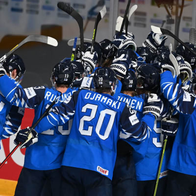 Leijonat tuulettaa